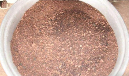 Concassage des amandes